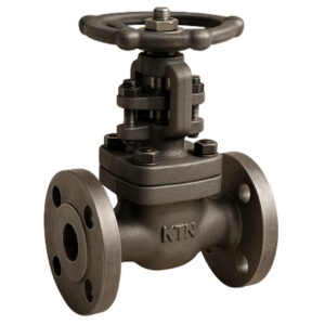 CARBON STEEL GLOBE VALVE WITH DIN FLANGES